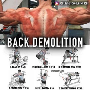 How to build Huge back with exercises | Videos & Guides