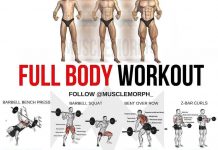 🚨 Full body workout | 👇Full-Body Fat-Burning Full body workout