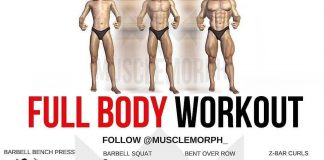 Full body workout
