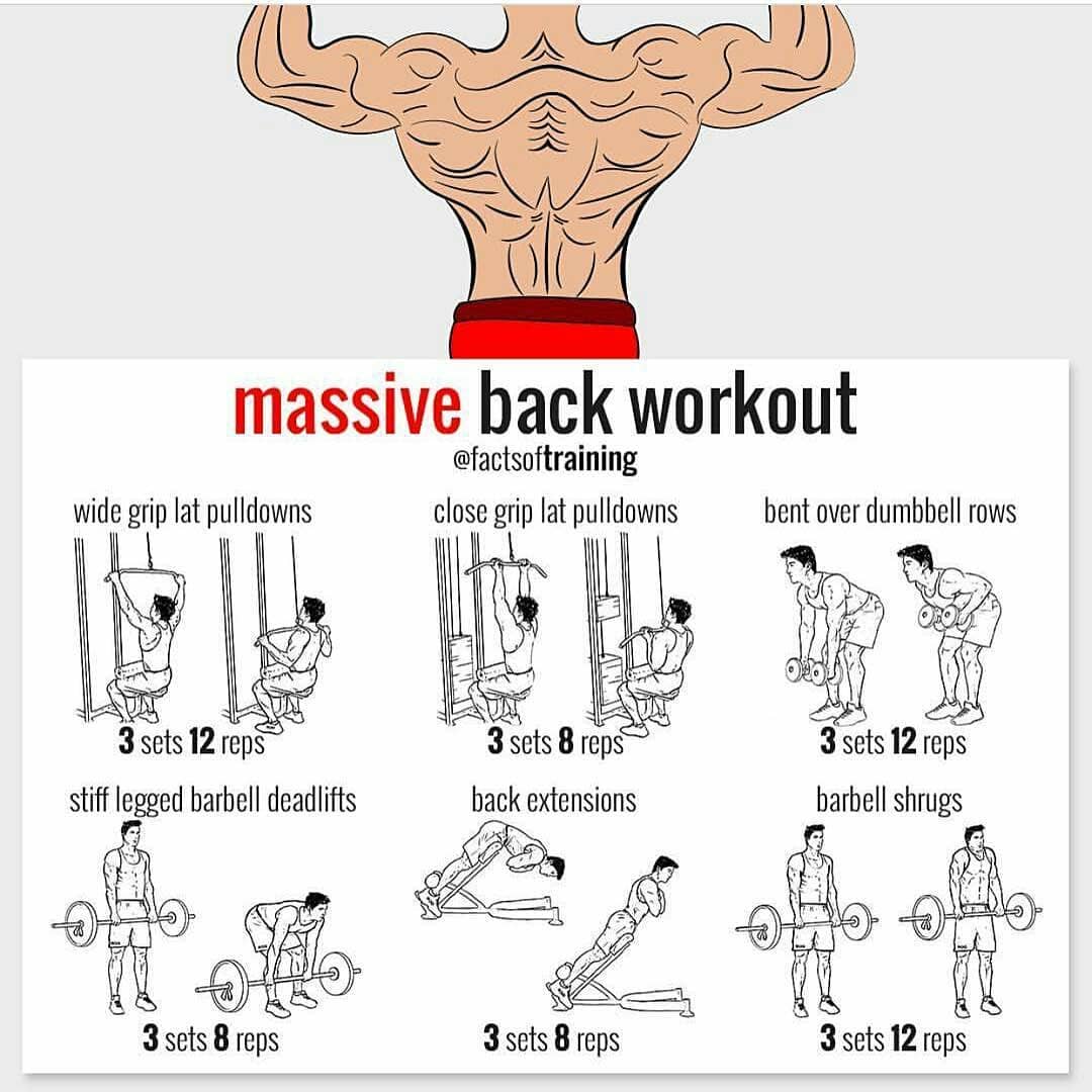 Back huge exercises - pulldown guide - weighteasyloss.com - Fitness ...