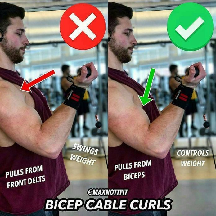 How to Do a Biceps Cable Curl Techniques, Benefits