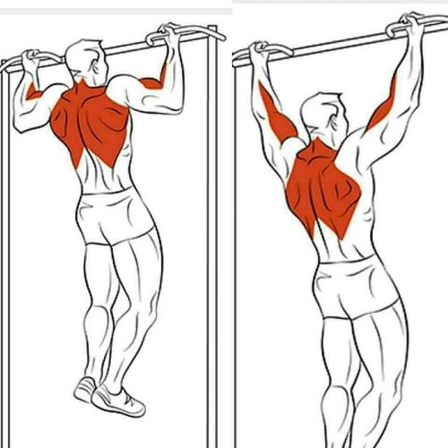 back day exercises