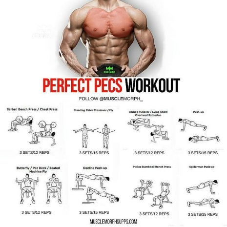 Huge Chest exercises