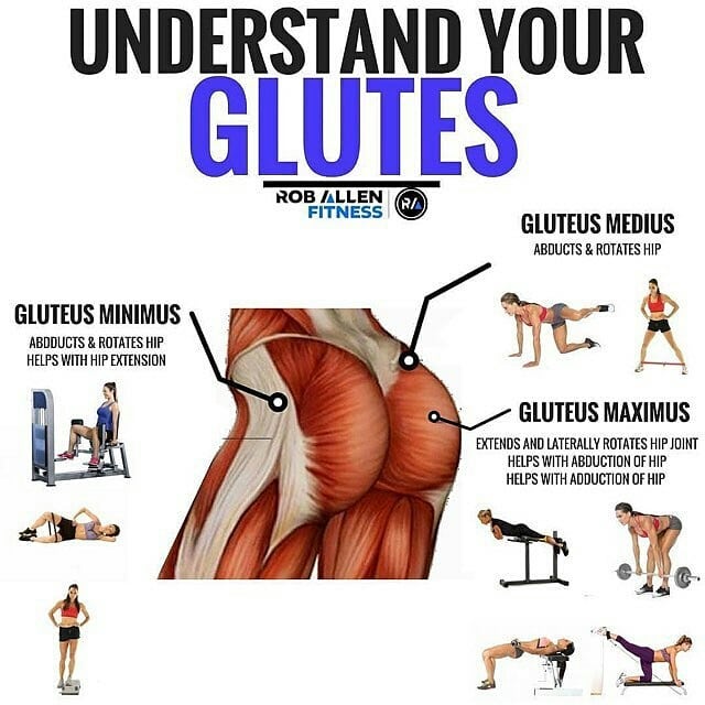 Understand your glutes