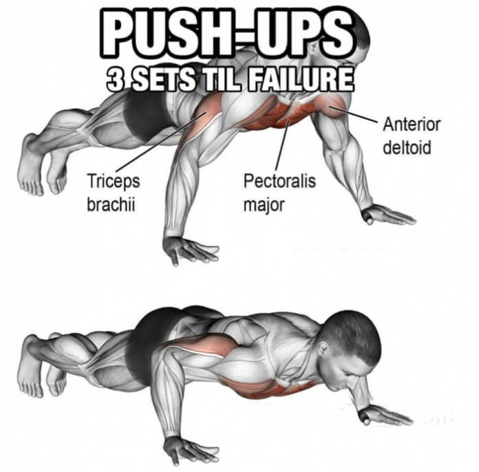 How to Correctness of Push-up from the Floor | Videos & Guides