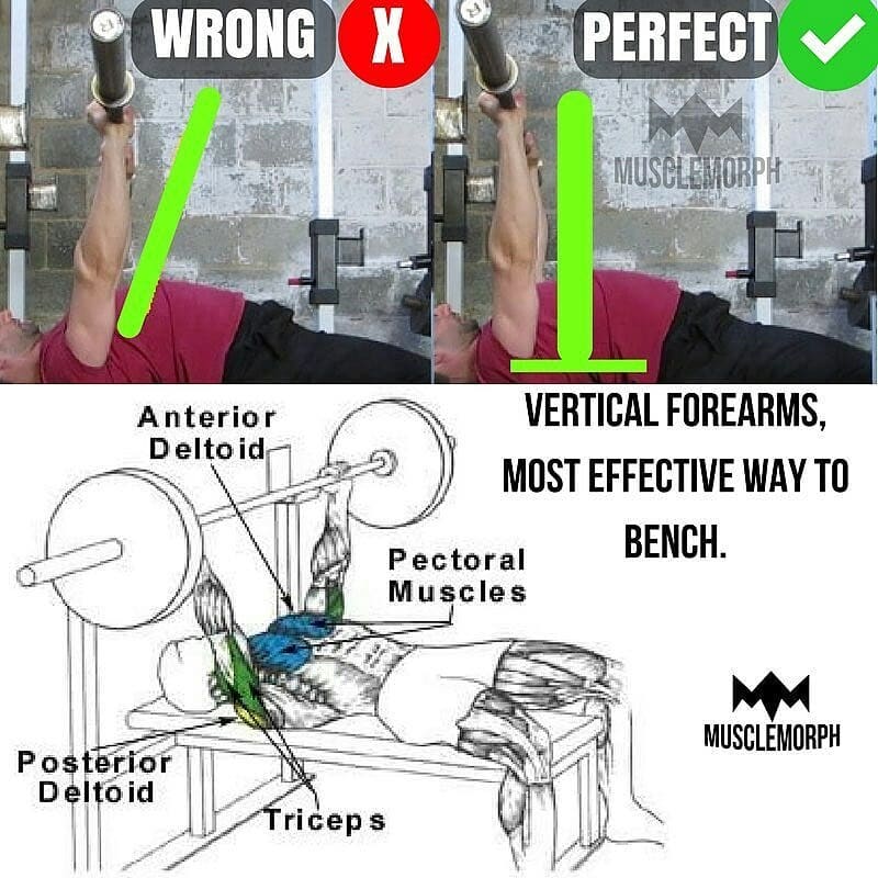 correct exercises the chest day