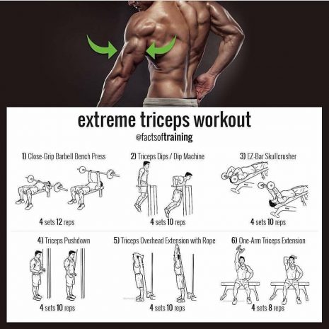 exercises for huge triceps