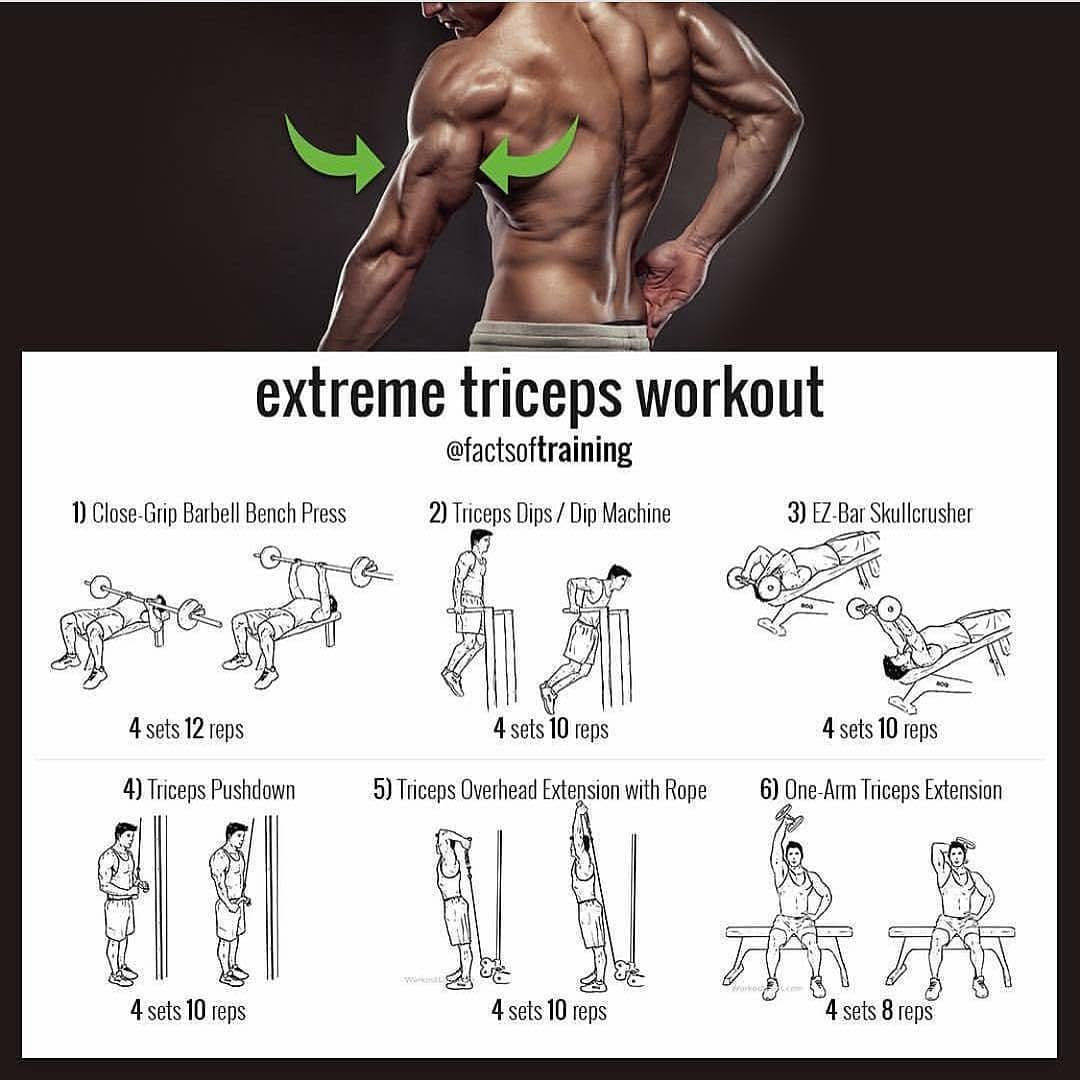 Exercises For Huge Triceps