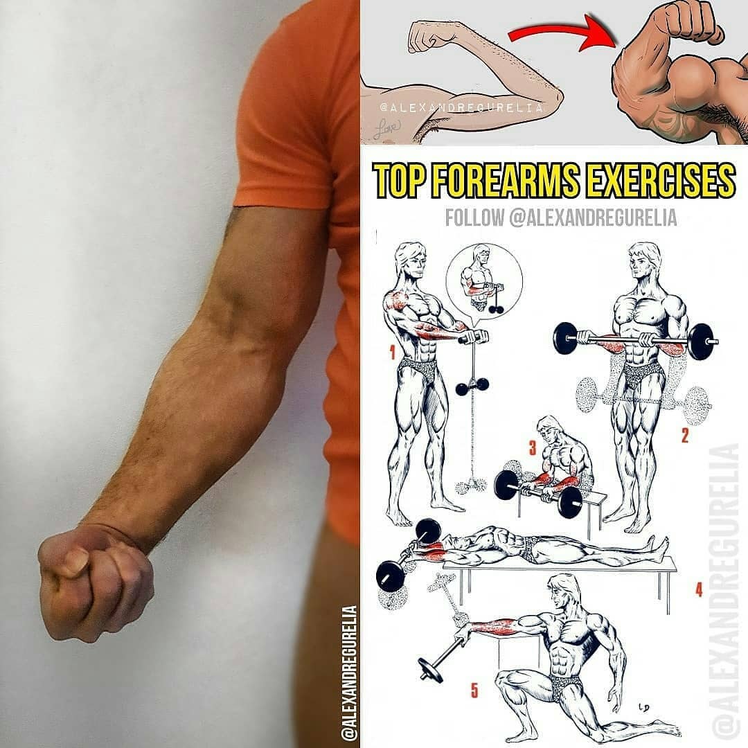 Top forearms exercises