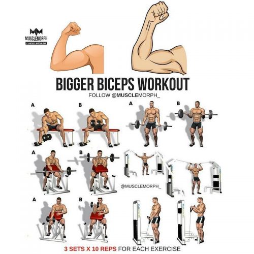 Bigger biceps workout