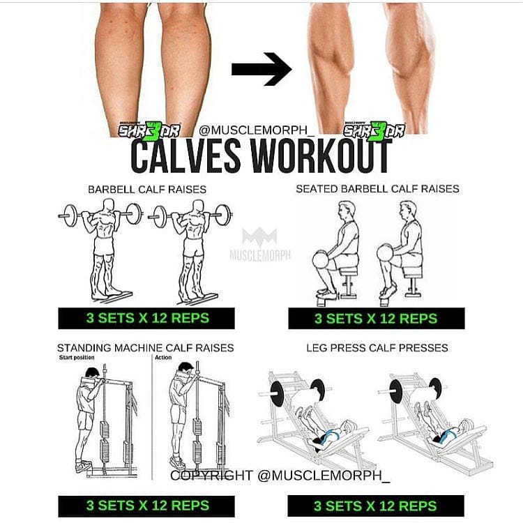 exercises for Calves