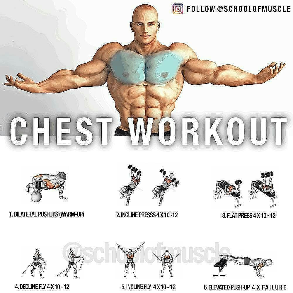chest exercises 