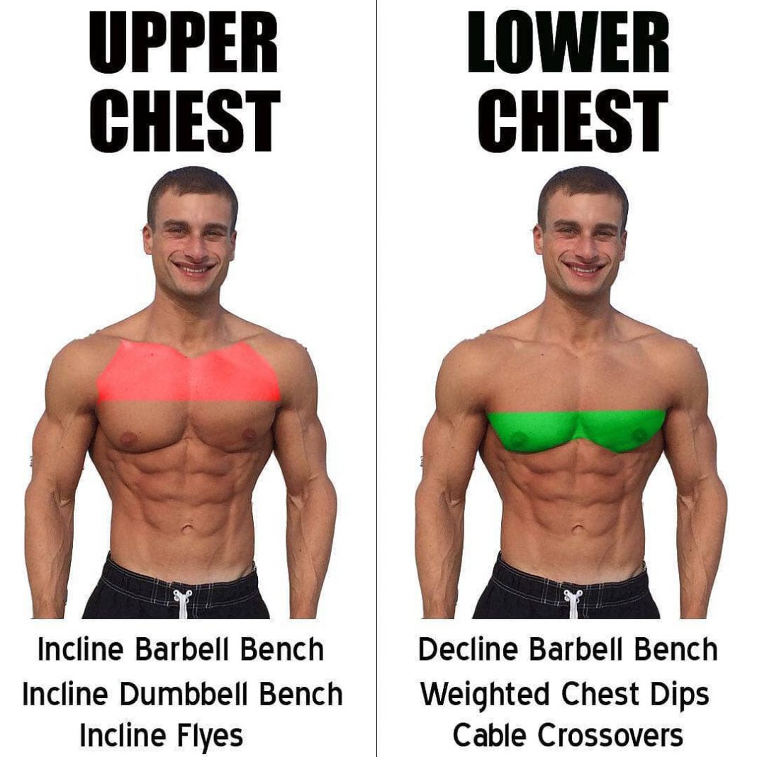 Chest Exercises Upper Chest Lower Chest weighteasyloss