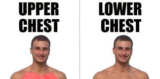 Upper Chest & Lower Chest