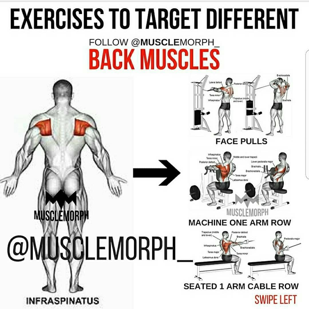 Back muscles training