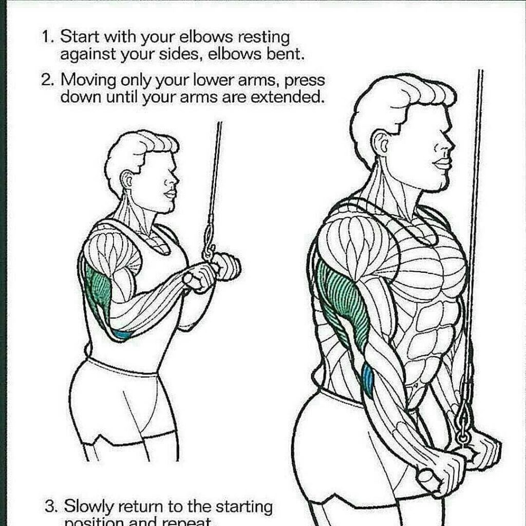 Triceps exercises