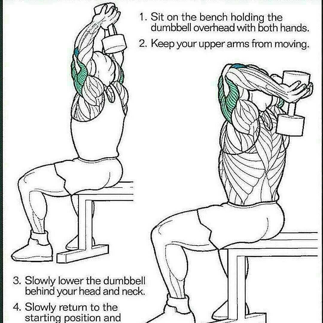 Dumbbell with both hands overhead.