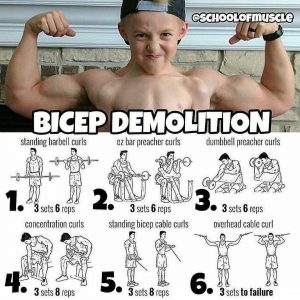 huge biceps gain