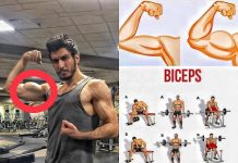 biceps exercises