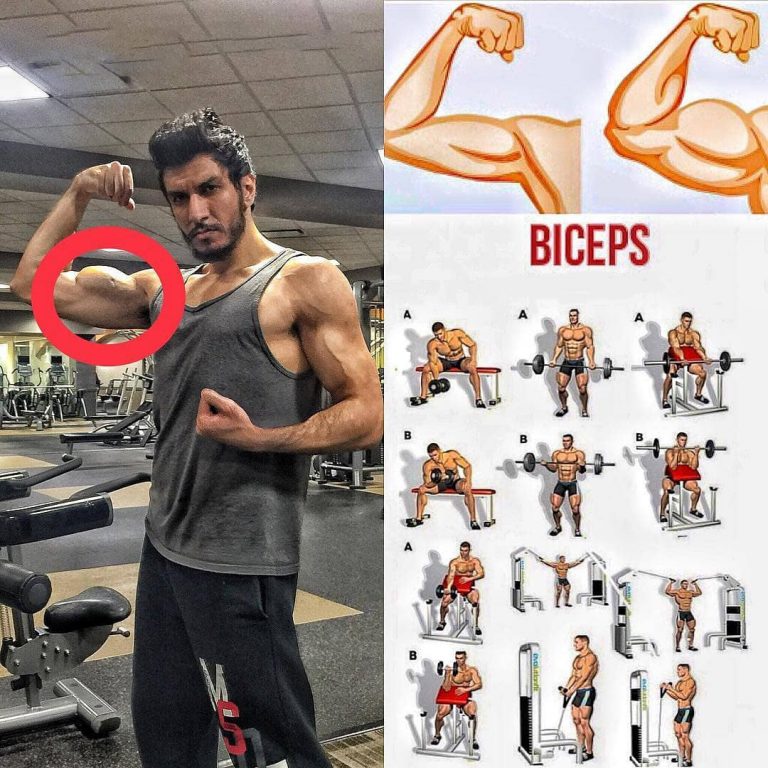 Biceps Exercises | Video Training - weighteasyloss.com