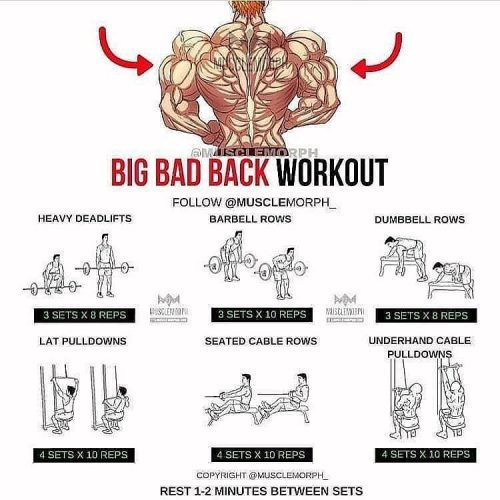 back exercises