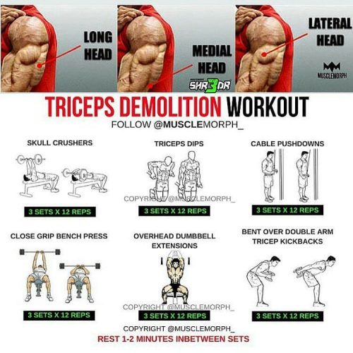 Huge Triceps exercises