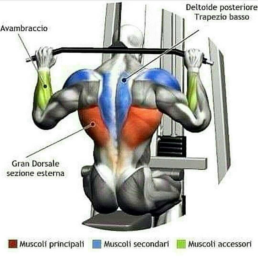huge back exercises