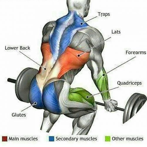 huge back exercises