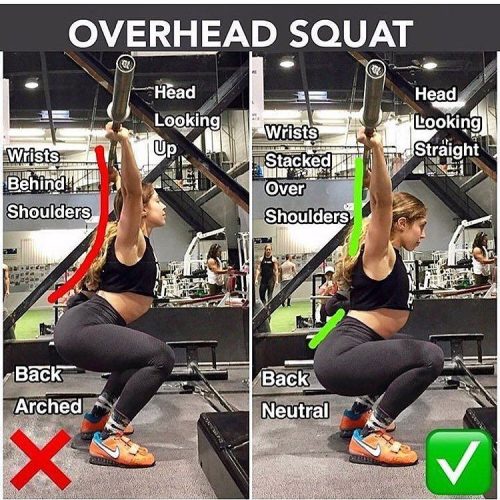 How to Correctnes Overhead Squat Videos & Guides weighteasyloss