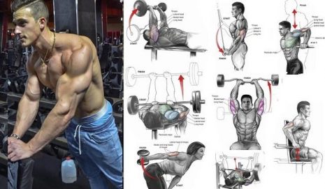 triceps exercises