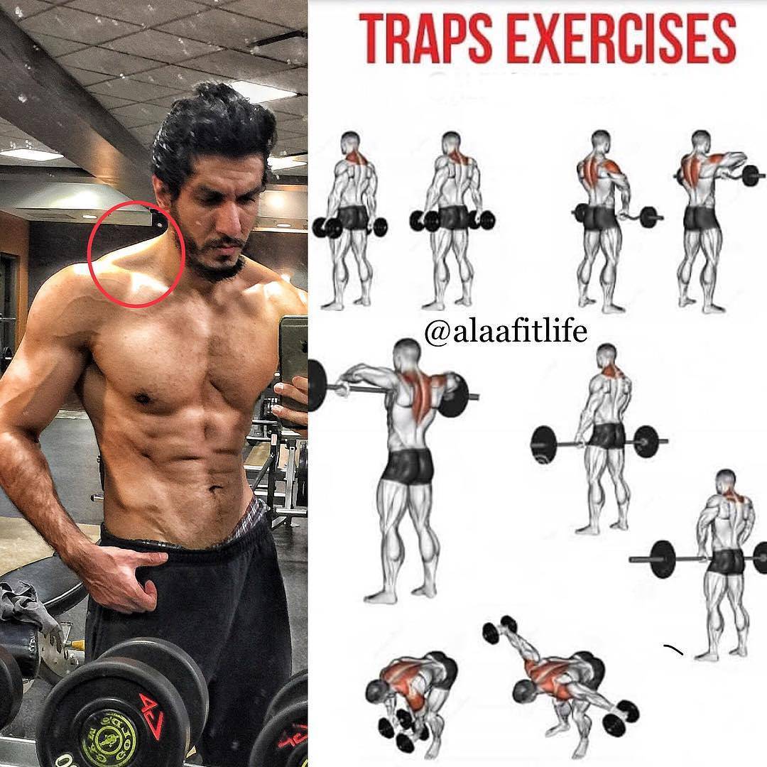 Traps exercises