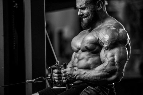 BUILD CHEST MASS GUIDE