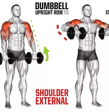 How to Do Upright Dumbbell Row, Tips, Benefits Upright Dumbbell Row