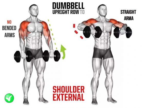 How to Do Upright Dumbbell Row, Tips, Benefits | Workout & Guide