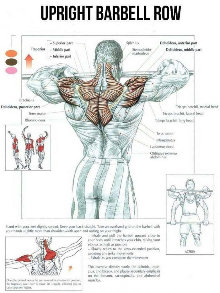 dumbbell high pull muscles worked