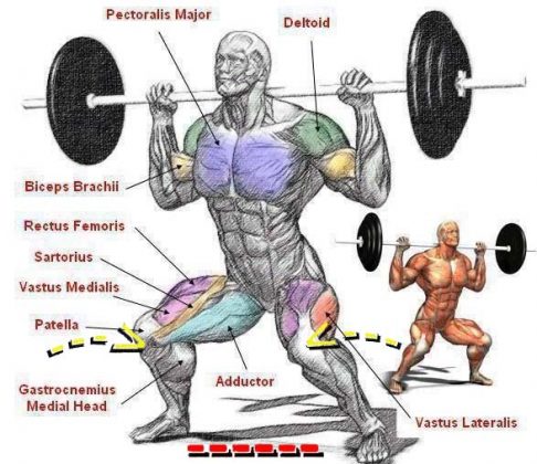 Correct setting of knees in squats with a barbell