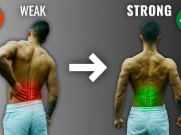 Exercises for Lower Back: To Strengthen & Tips Exercises for Lower Back: To Strengthen