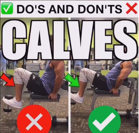 Calf Front Raises Proper Form