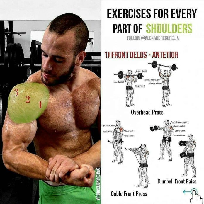 Variations shoulder exercises push barbell from behind the head