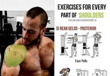 shoulder exercises