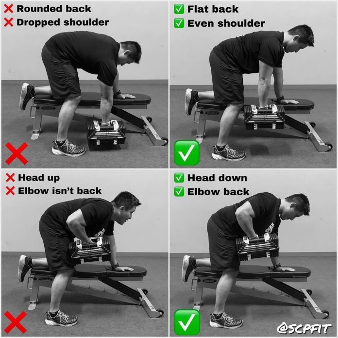 How to Dumbbell Rows | Video & Photo & Training Programs