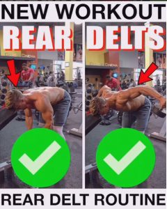 How to Isolation Rear Delt Dumbbell Flyes | Videos & Guides