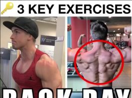 3 Key Exercises For Back Day