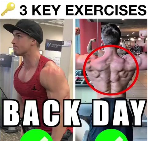 3 Key Exercises For Back Day