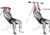 How to Cable Machine Tricep Overhead Extensions