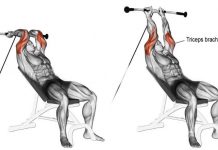 How to Cable Machine & Tricep Overhead Extensions How to Cable Machine Tricep Overhead Extensions
