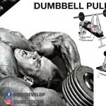 dumbbell pull-over
