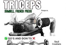 How to Dumbbell & Barbell French Press | Videos & Guides Barbell french press