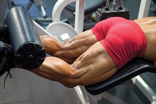 How to Lying Leg Curls Exercise | Video Training & Photo