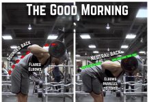 How to Good Mornings Proper Form